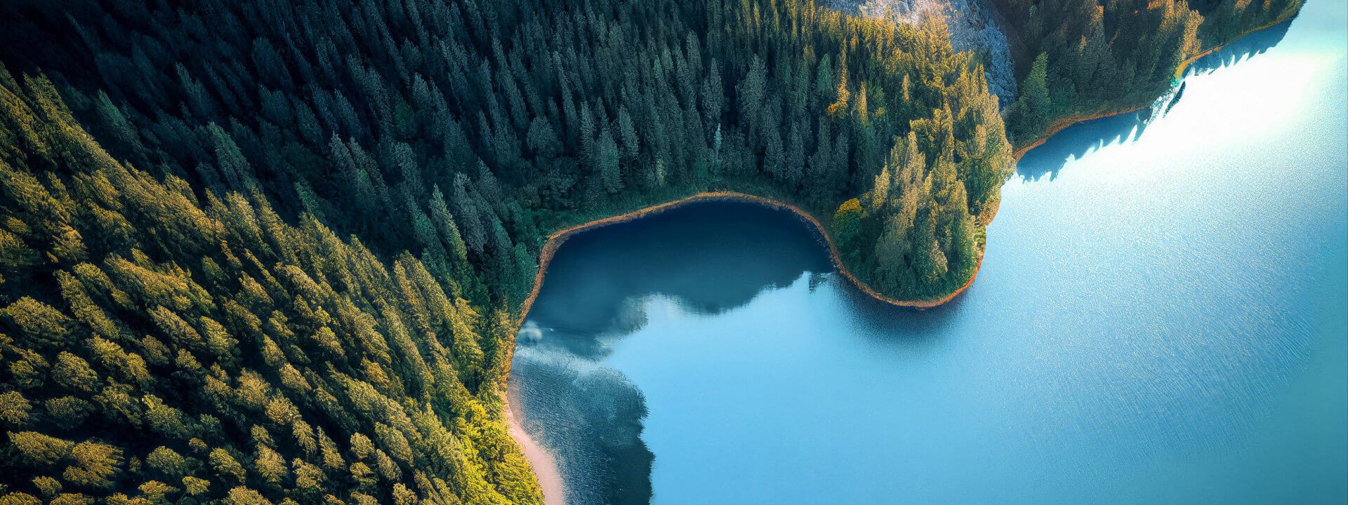 Conference template cover image